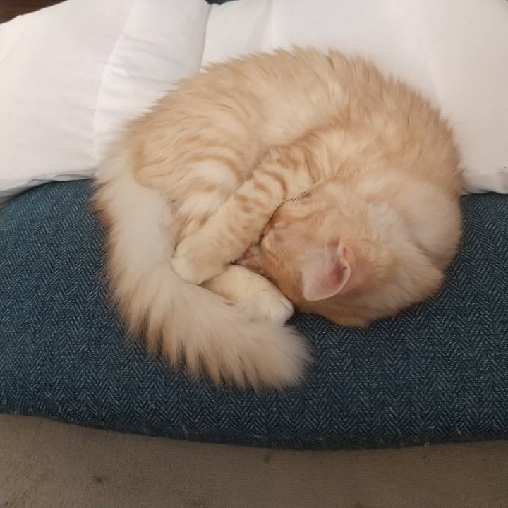 698c060c 9fc4 43bf 8d5f aa70d208bdd8 1611028195582