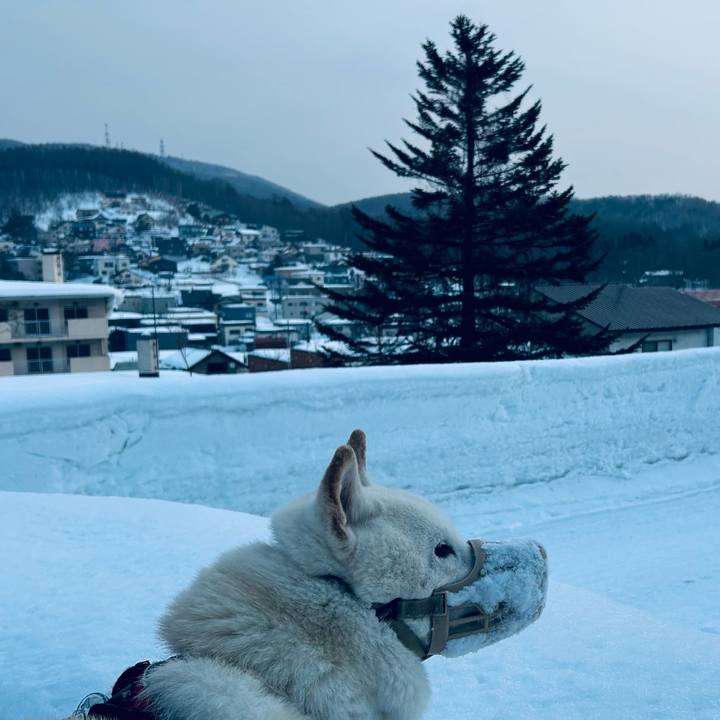 698c0988 0e16 46b0 9f27 b8e4dbe1eab5 1771194910831