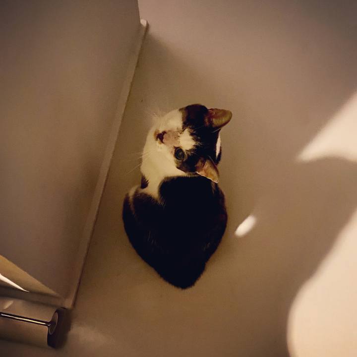 698c1102 bb5c 456d 8cc5 0012dccb069c 1600347868061