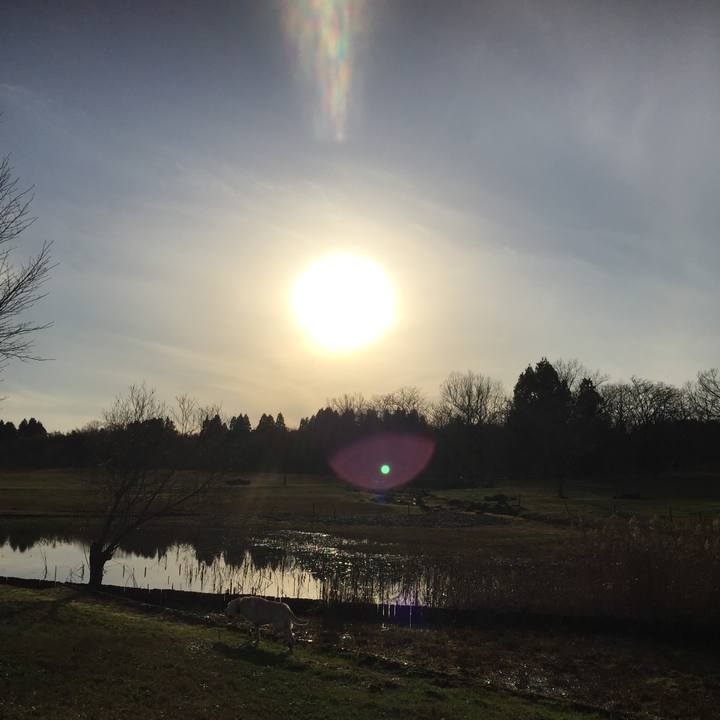 698c2830 aaeb 4e82 87e9 bd4578dd3b06 1549448196664