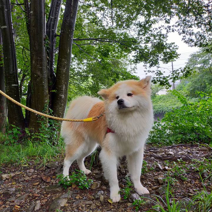 698c2bfe d09e 4fa1 87e6 d9b57c02df33 1629115349034