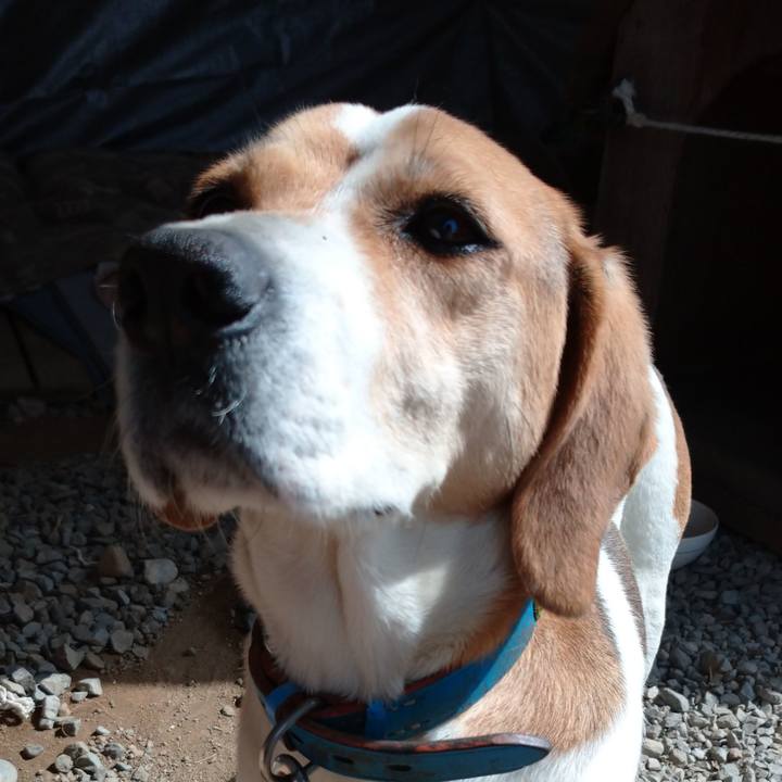 698c38c0 c7d9 48b1 8254 3af709346c78 1618063901784