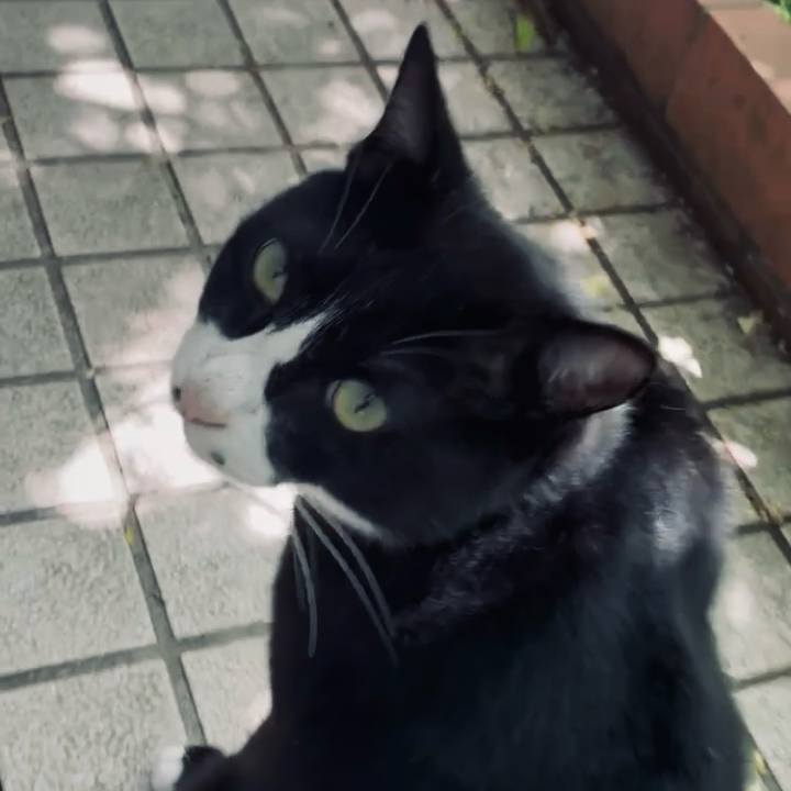 698c7547 623b 41bf abdf 80411ecc67ef 1744942911513