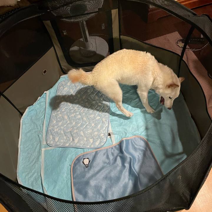 698c7d22 bc5b 422e b8a4 aab1a792f8b1 1658067635968