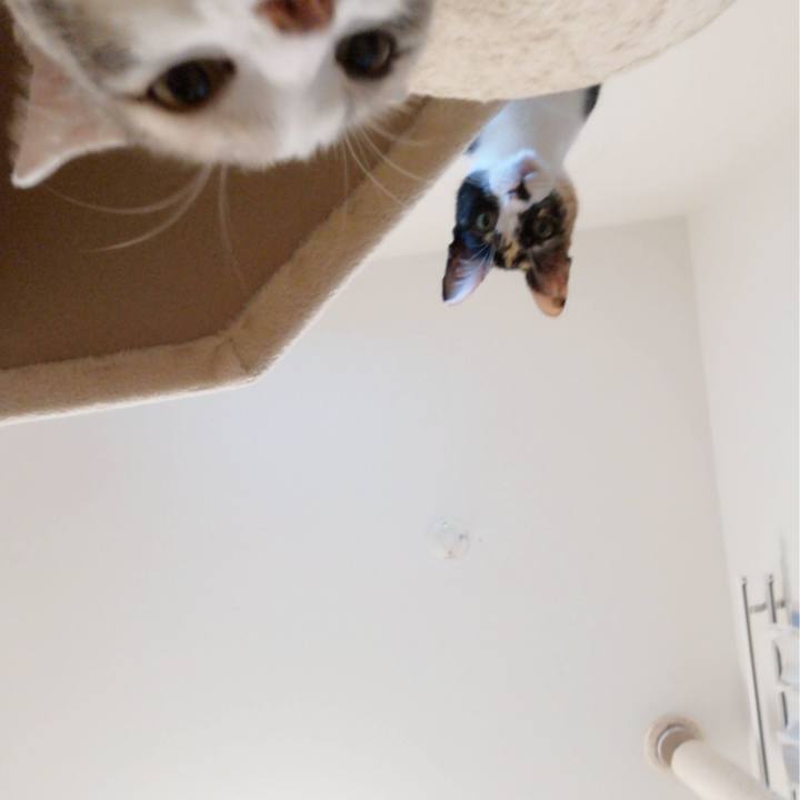 698c88e7 b653 4213 8a1f 25a68dd4c791 1600607895029