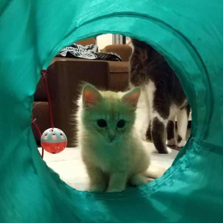 698c9881 5349 47b8 be9d 752b3fc89478 1626906162235