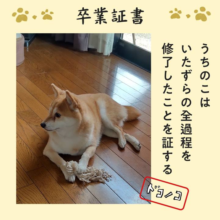 698d0998 6c50 4eb4 b81a 1ba748e65a0f 1771823871740