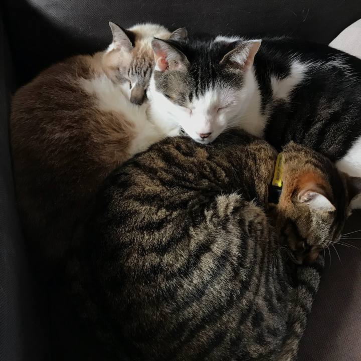 698d28d3 8325 43ed 9435 27815275ef3f 1520414753498