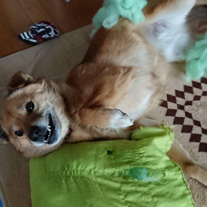 698d4bf7 df2b 415f bfa1 1ca3f03a2b14 1582536339473