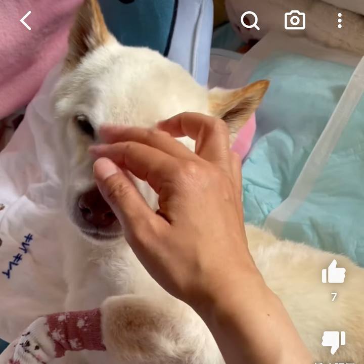 698d5c42 661f 452e b440 3b7b8de56606 1685477175988