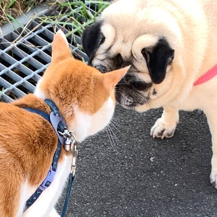 698d6f79 699b 41c4 8e81 1c587a465140 1573344182879