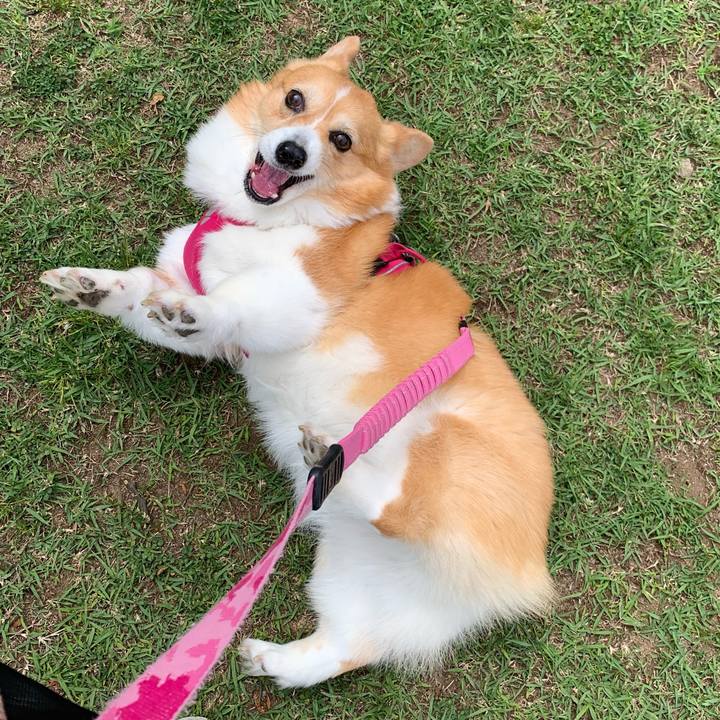 698d8955 704b 4dc0 bc1e 375210ac90f0 1715481707273