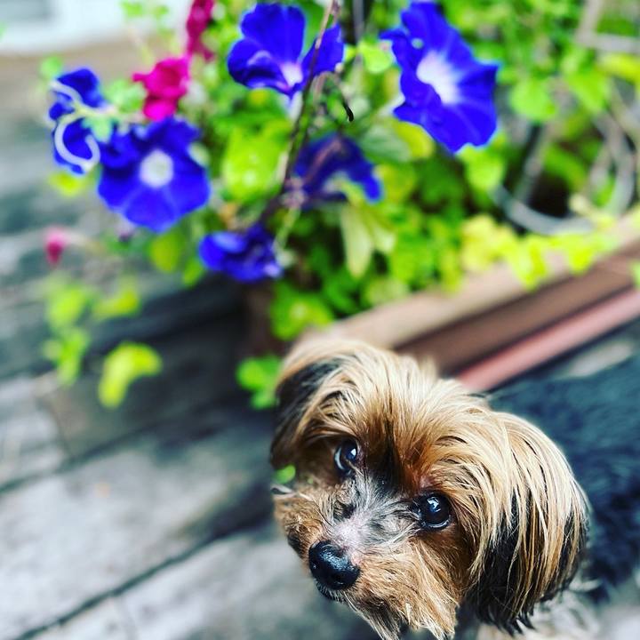 698d94ab 8bed 47cf 9100 b00023df3b12 1661116243419