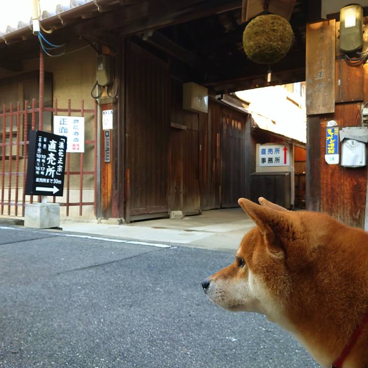 698ddfd2 2369 479c 8576 a7f19506593e 1764585826544