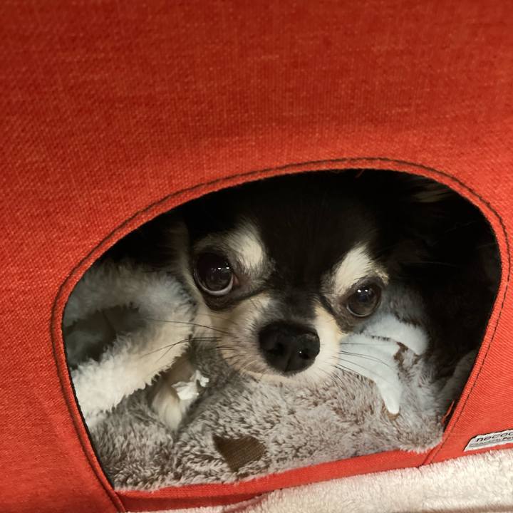 698e0f34 10a7 48a7 9151 734f4b9efbc6 1648300463894