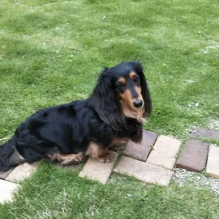 698e53c8 0650 4ab8 9472 02cbb3838b7f 1588461087678