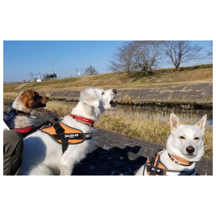 698e9111 6d52 4d3b 888a 7910ddd489c0 1673232898643