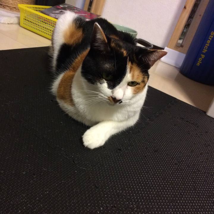 698ebdae a9c5 4712 91a5 2fa52f07b89e 1597188085891