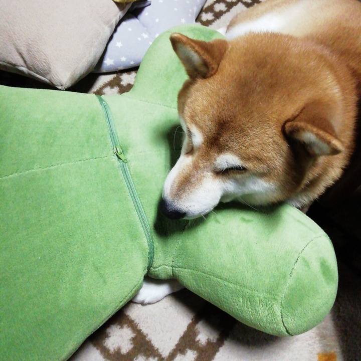 698ec148 dc26 4e8b 8183 1eea3f7983c1 1645786430660