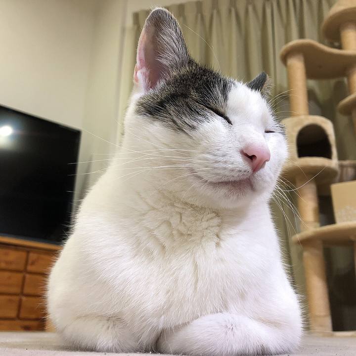 698ec2c4 573a 4e5f a72f 988185ea0eb8 1650165341616