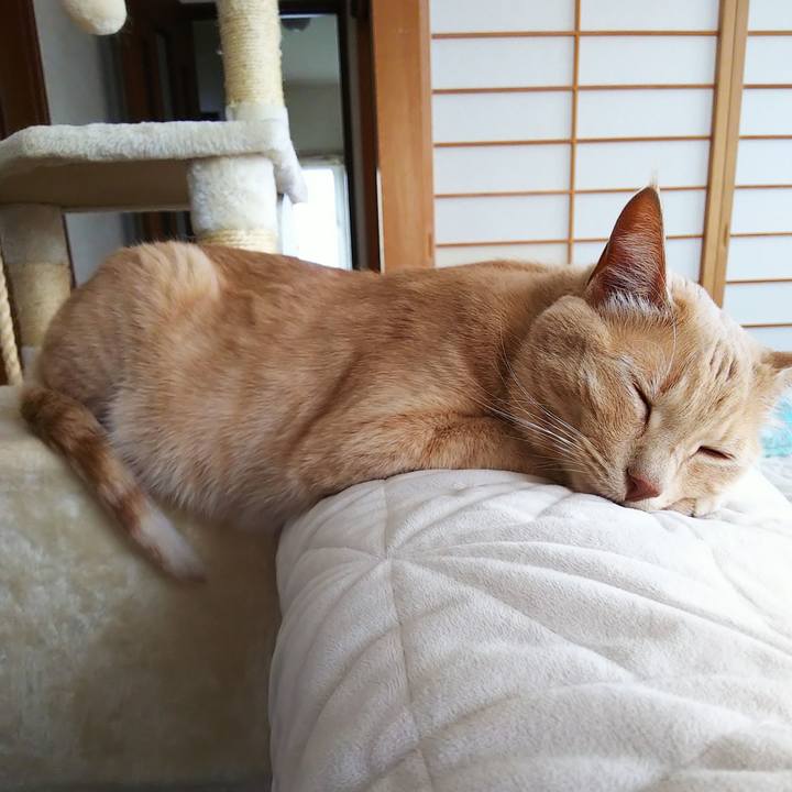 698f0aa6 21fc 4e78 b40f c69415b126f9 1633130666558