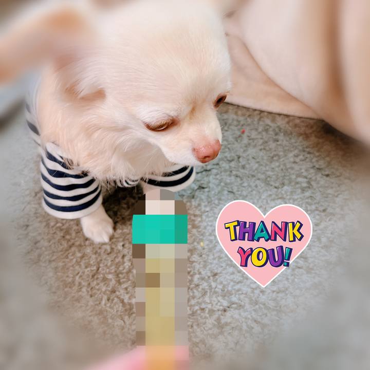 698f4c1c 1015 40f7 833d 1cdf7449e615 1675313517986