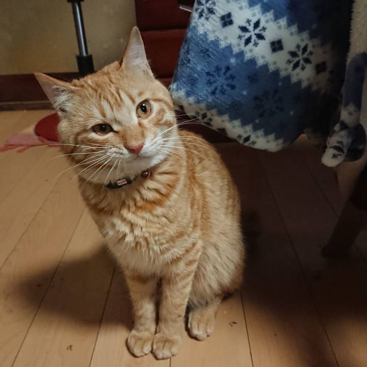 698f5b3e 081a 4a0f ba5e 6df7f6b60dfe 1646994729830