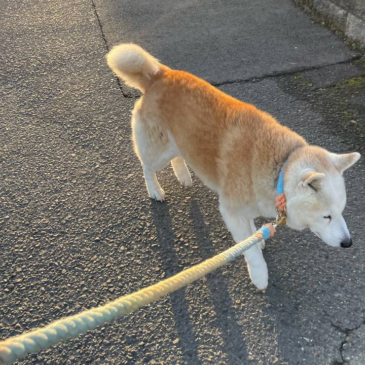 698f68d3 1686 4ba9 90ca de4f180daf39 1676157214292