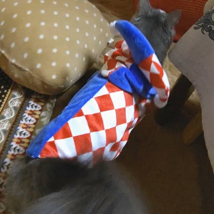 698f80d2 a5c6 4000 a393 c11da9723766 1573373823982