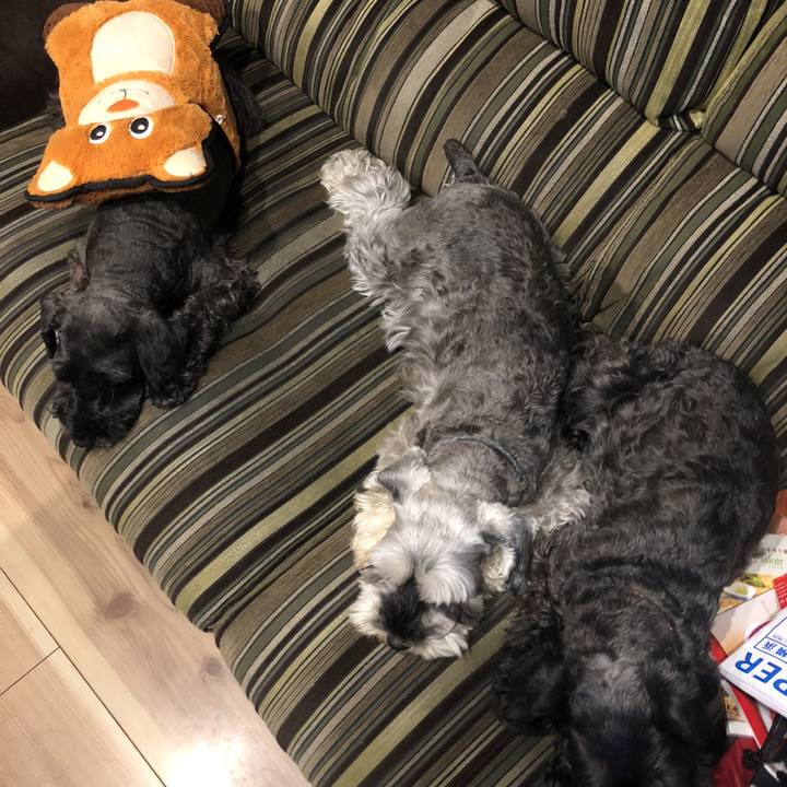 698fe384 73e7 42ec a5a5 e7daf25607eb 1532746885106