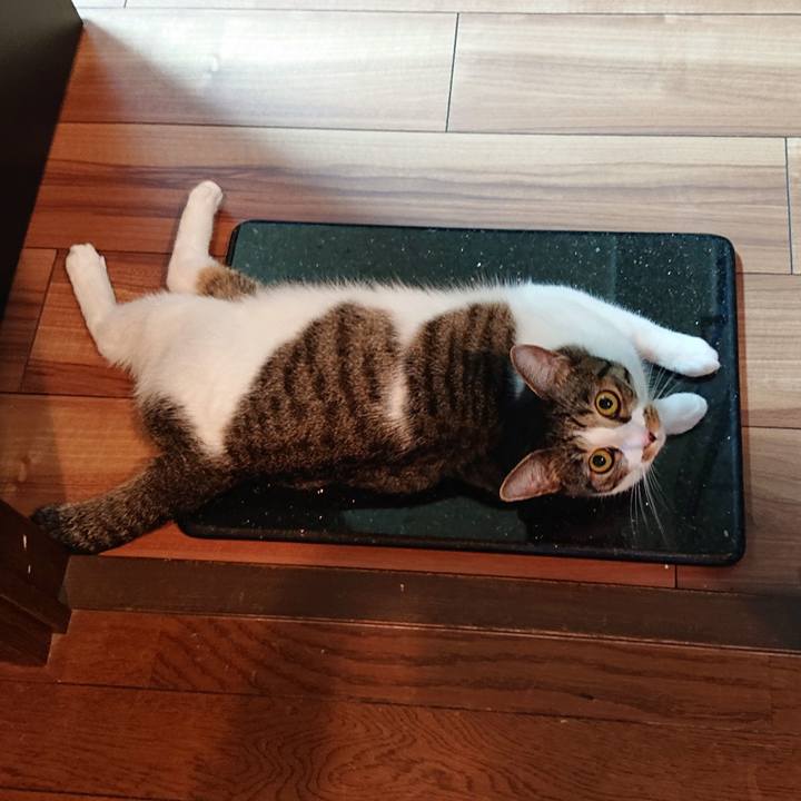 69909063 2710 475b a7e7 8f7b0be3e1a8 1565929978421