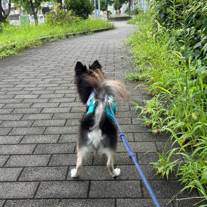 6990af4f a9ea 49b1 87db 584d9d6ffb48 1722181361924