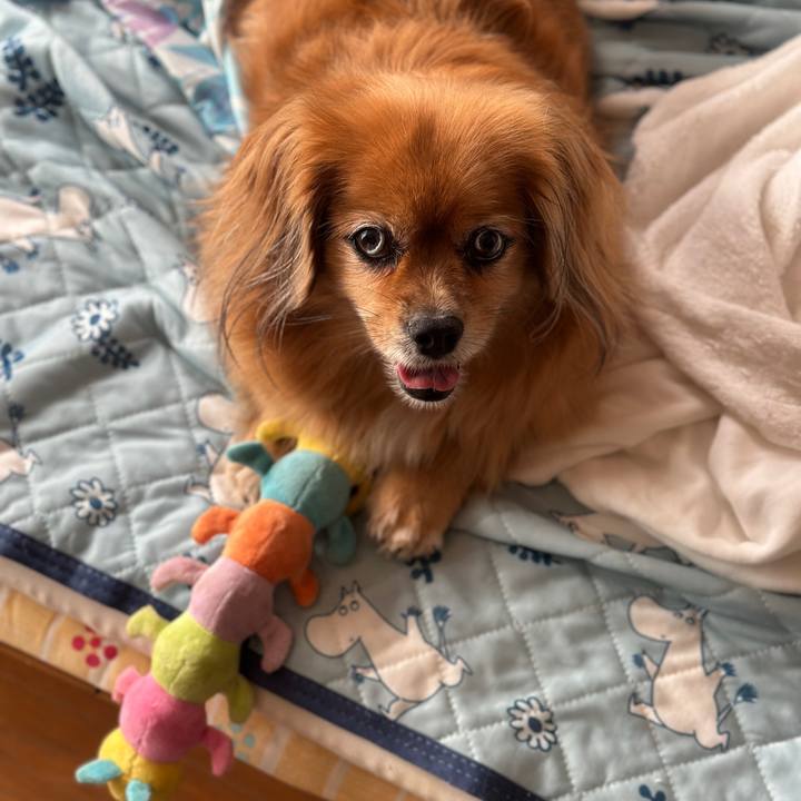 6990d194 6d70 4293 9c80 ad6fcbc8e007 1757280396075