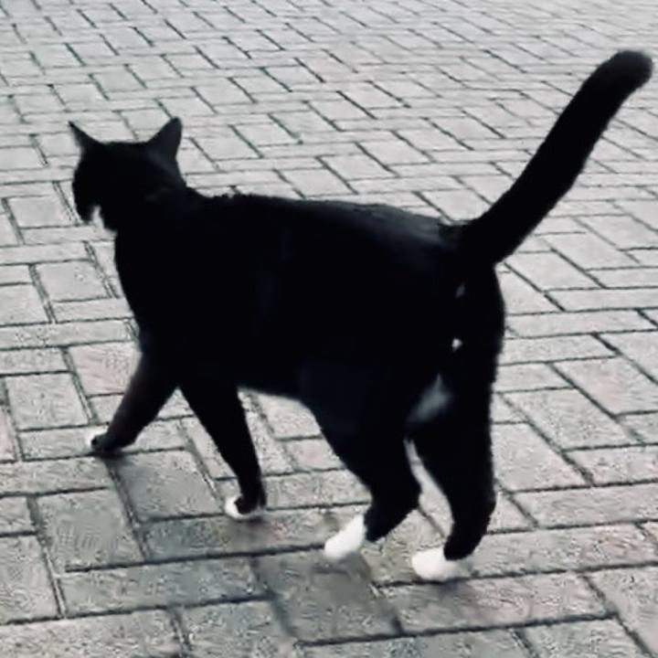 6990e619 26b7 4601 82df e3247c414e0c 1743681875415