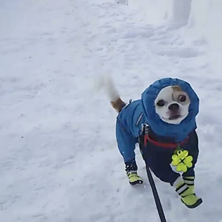 6990fc1a 9147 4822 aa4b e66d5d2d7be4 1674571932103