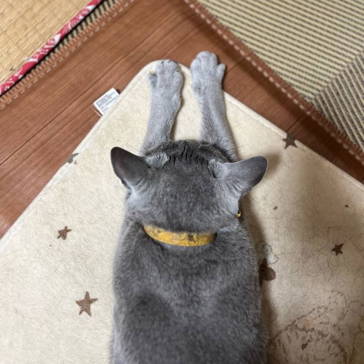 69913963 9062 4869 9dab b816f74e6faa 1746534263063