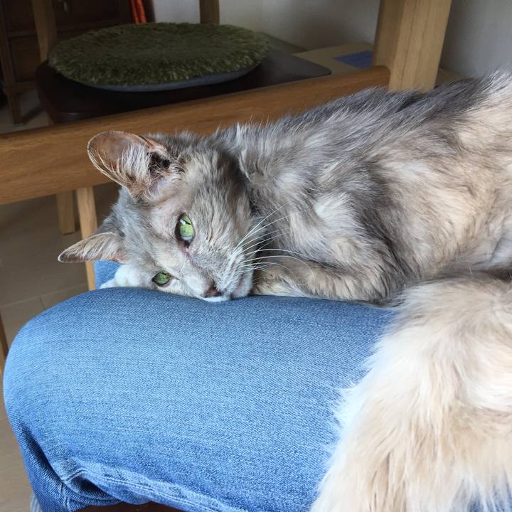 699140ca 9e05 4b0b a8de c2281d45b1f7 1525406391500