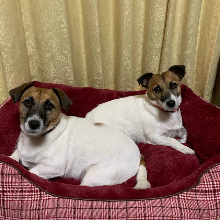 69914891 cd4a 4ef1 967f 110277abd59e 1603625817974