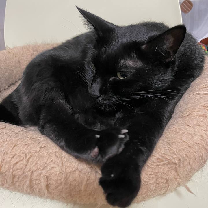 6991ba63 a0b1 4e83 9bfc afc64d82e49a 1728897185601