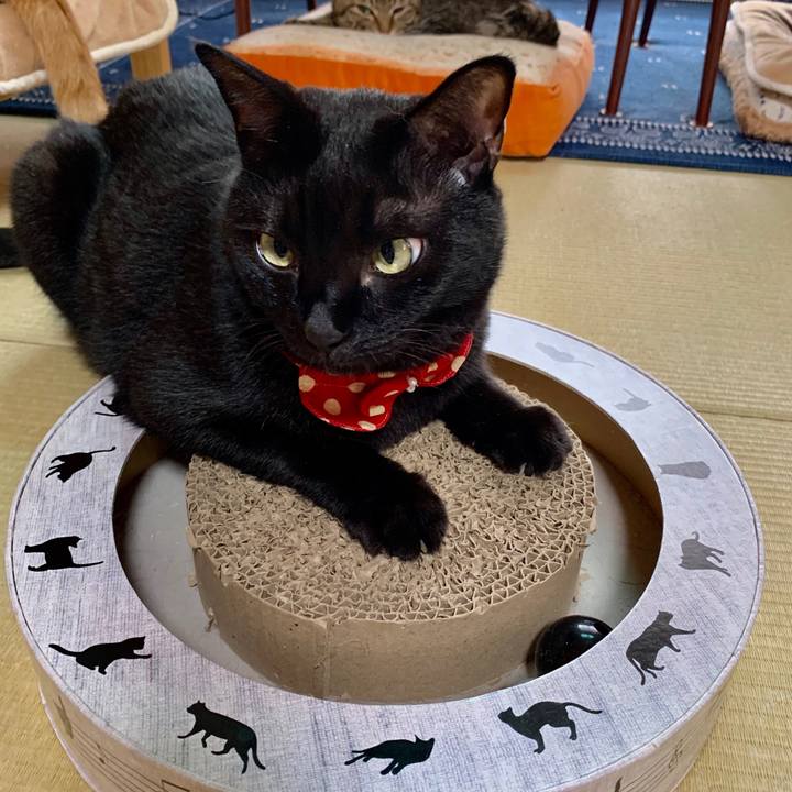 6991bad7 0c27 4286 818b d2ce924f4e18 1569984884315