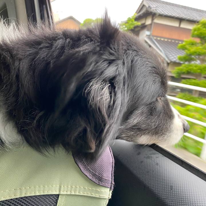 6991dff7 32af 4461 a509 151b01136b0e 1684706349086