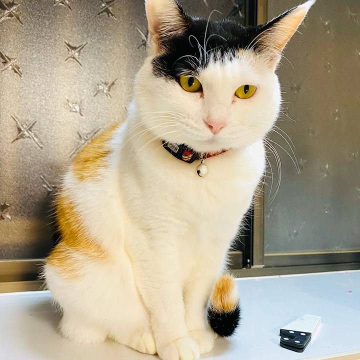 69923b3b 7c73 4460 9a3f 8e6aacf1e74e 1672929393065