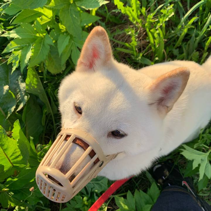 69925669 9625 47bb bfbc e12e6d059ec1 1568670154799