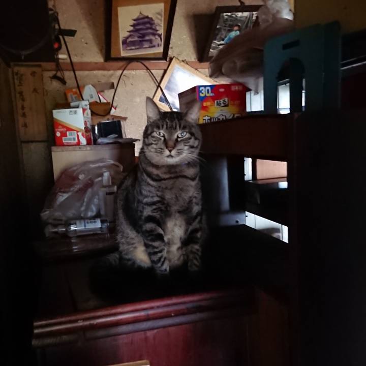 69925a02 fccb 4dfd 8239 0f4cb16531ba 1660514930398