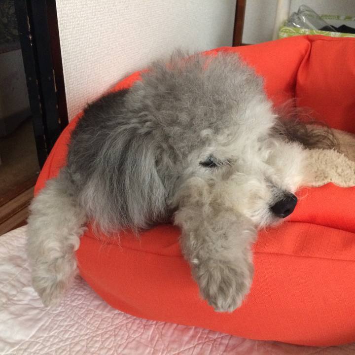 69925c7d decd 44d0 bbd6 c64578aa170c 1508041541371