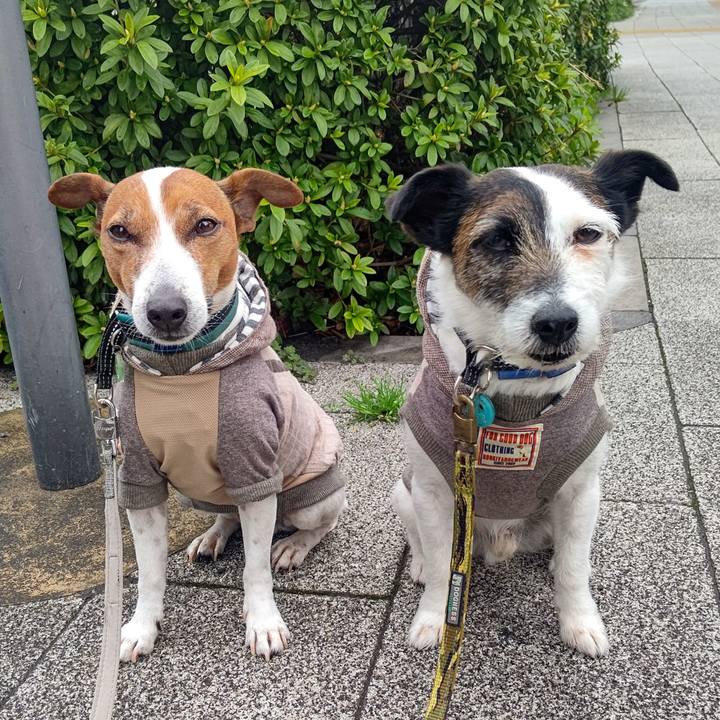 699290cc bffb 4c1b a48f 0b6b80feda29 1712189416549