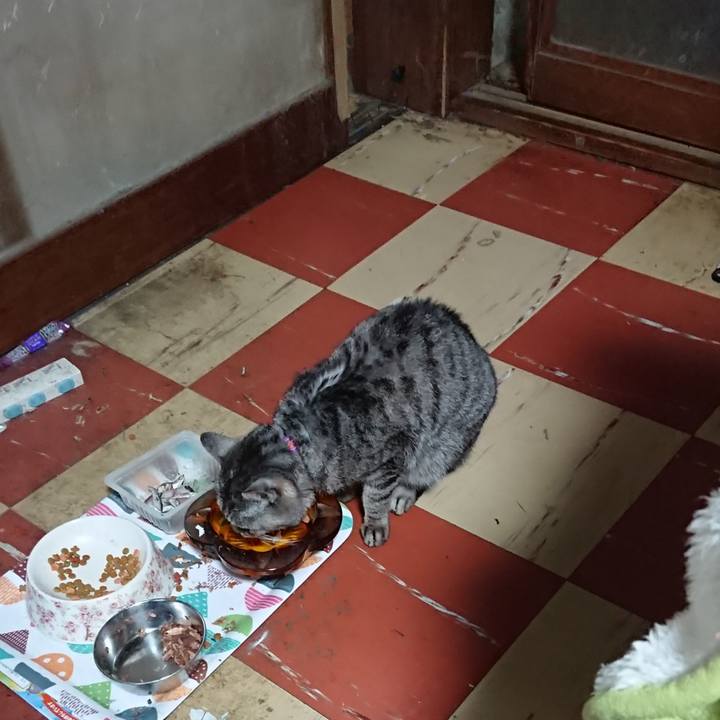 69929552 cea9 415a 9fb0 a153ea7fcdb7 1589402234584