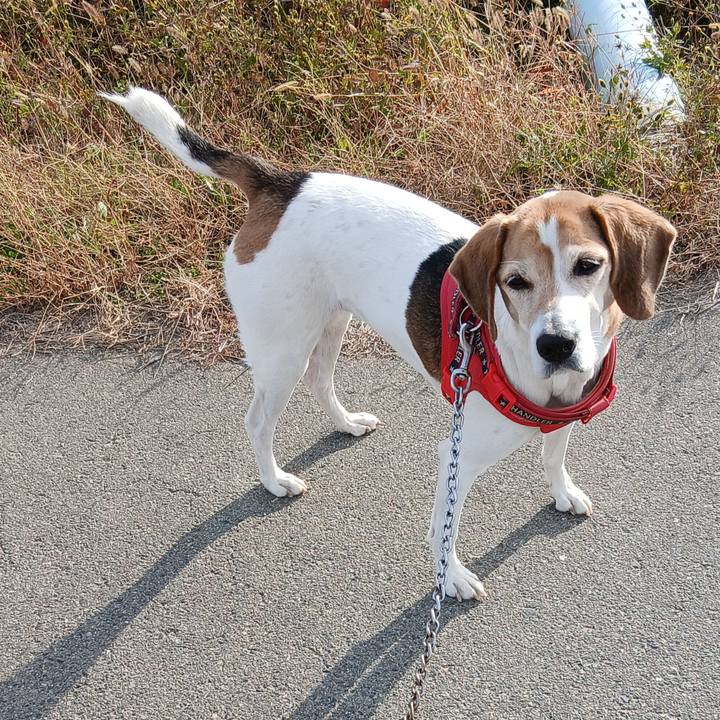 6992a27d 8751 4ea3 8a1f 1e03af75e004 1764578274052