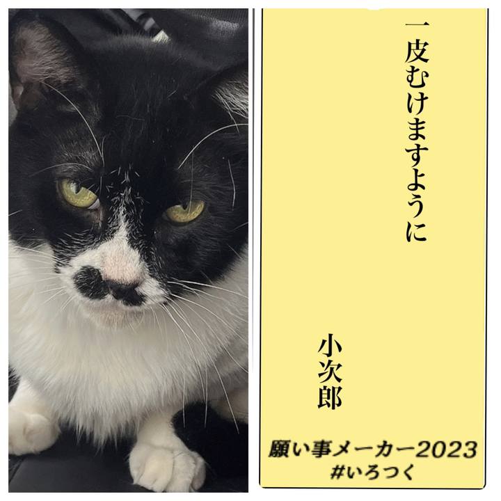 6992c7f0 2b4e 4c47 8f6b a68dd33722e4 1688655527270