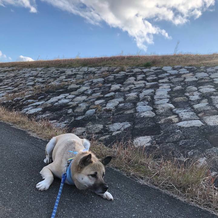 6992d3d0 4d3e 499e 9d67 c47cc77791ec 1578210081361